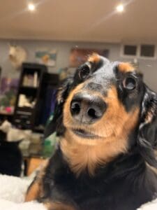 Frankie a.k.a. Frankers