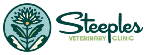 Steeples Vet