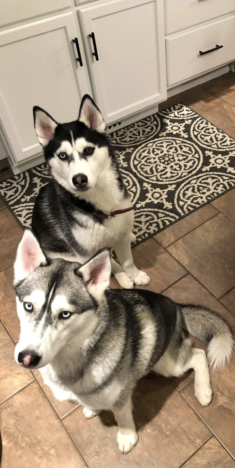 Aspen & Vale